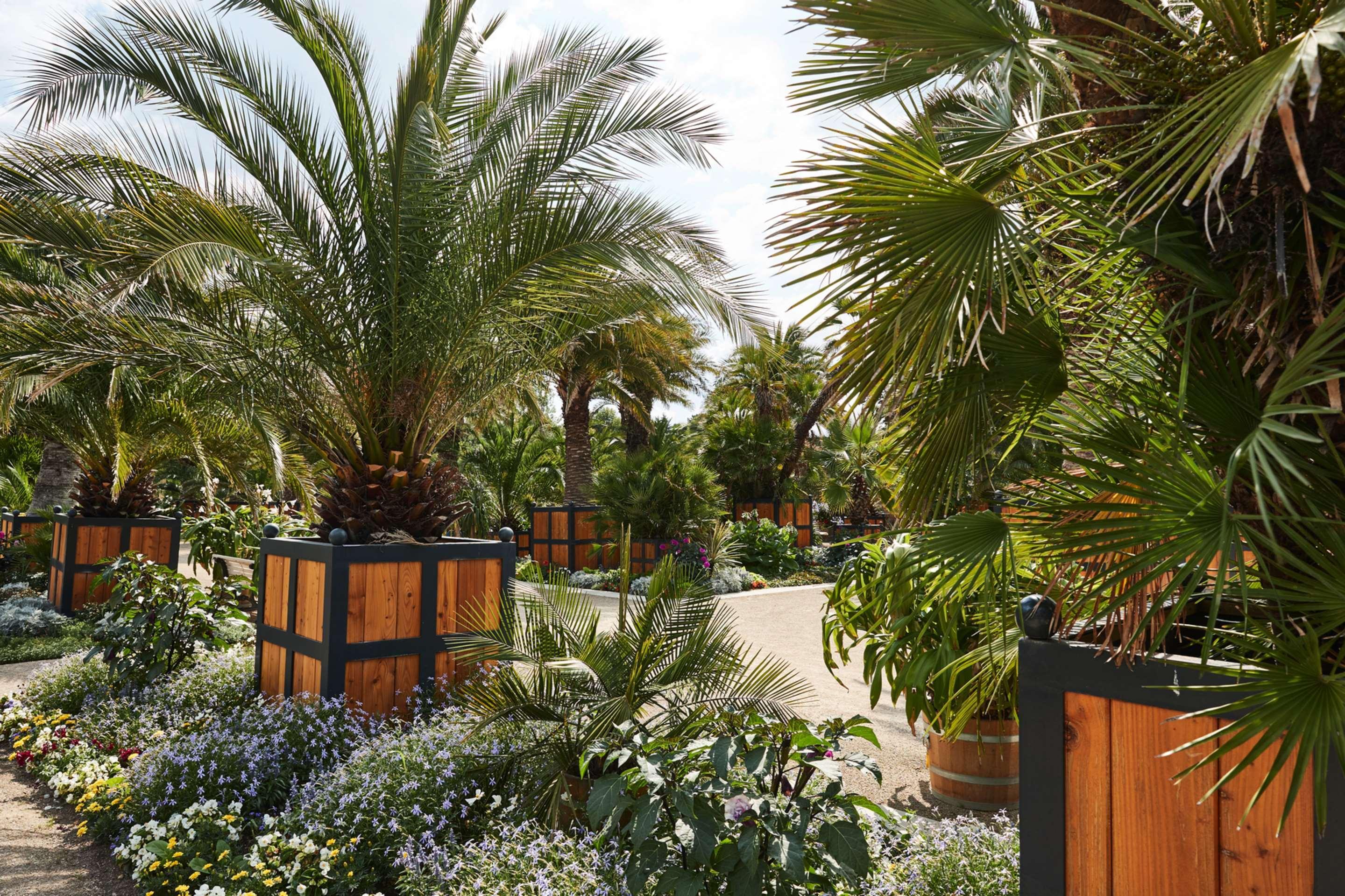 Steigenberger Hotel & Spa Bad Pyrmont Ngoại thất bức ảnh The Palm House